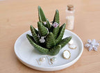 PUDDING CABIN Aloe Ring Holder,Cactus Ring Dish,Jewelry Holder Trinket Tray for Rings Earrings Necklace Organizer,Bridesmaid Christmas Birthday Gift for Women Girls - style: Aloe