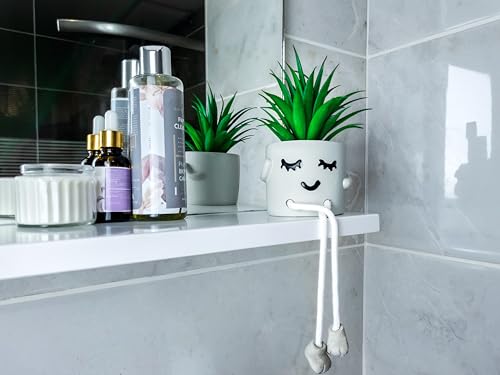 OLEEK small fake plants office decor - fake succulents plants artificial for desk decor - fake plant office decorations for work - office decor for women - office plants cubicle accessories room décor - size: Suzy (Set of 1)