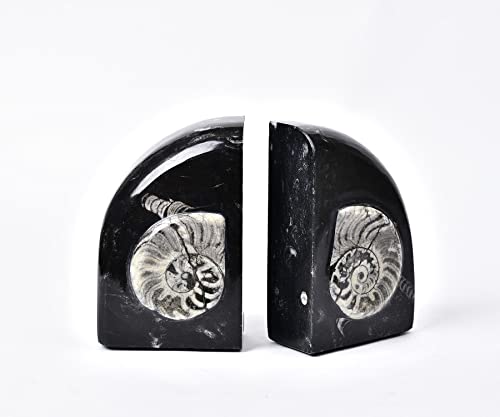 AMOYSTONE Heavy Duty Sturdy Bookends for Shelves, Morocco Orthoceras Fossil Heavy Bookends Stopper 6-8 LBS for Home Office Books with Rubber Bumpers (1 Pair Height 6.2") - color: Black & White D, size: 6-8 Lbs