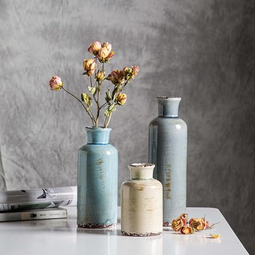 CwlwGO- Ceramic Vase Set of 3, Small Flower Vases for Home Decoration, Modern Farmhouse Decor, Living Room Kitchen Table Centerpieces, Shelf, Mantel, Fireplace and Entrance Decorations-Multicolor. - color: Multicolored