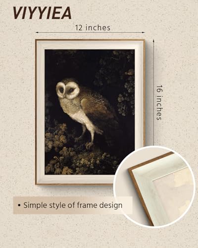 VIYYIEA Framed Wall Art for Living Room, Owl Canvas Prints, Vintage Home Decor, Animals Painting Picture, Bathroom Wall Decor Gifts for Friends or Family - 16L x 12W - color: Animals-【Owl】, size: 16"L x 12"W