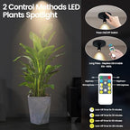 HAMVIDNE LED Spotlights, Rechargeable Battery Picture Lights, Uplighting Indoor, Spot Light with Remote, Plant & Wall Art Display Dartboard Closet Spotlight-Black - color: Chargeable Black, size: 2 Pack