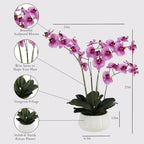 CG Hunter Faux Orange Orchid Plant, Premium Artificial Indoor Flower Display Stands 23”, Beautiful Sculptural Blooms That Lasts Forever, White Planter Pot Included - size: 23" Purple Orchid