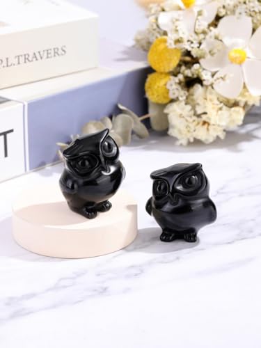 Jovivi Crystal Owl Decor Black Obsidian Healing Stone Crystal Pocket Owls Figurine Statue Hand Carved Polished Natural Gemstone Sculpture Home Office Desk Meditation Gift - color: Black Obsidian