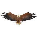 Design Toscano Freedom's Pride Eagle Plaque: Large - style: Freedom's Pride American Bald Eagle