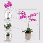 CG Hunter Faux Pink Orchid Plant, Premium Artificial Indoor Flower Display Stands 24”, Beautiful Sculptural Blooms That Lasts Forever, Grey Planter Pot Included - size: 24" Pink 2-Stem Orchid