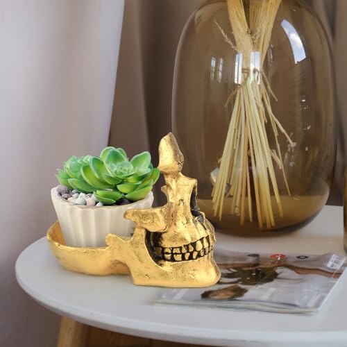 Mrlikale Skull Glasses Stand Holder, Creative Eyeglasses Holder, Sunglasses Spectacle Display Rack, Key Holder Resin Sculptures for Entryway, Home, Office, Desk, Nightstand (Gold) - color: Gold