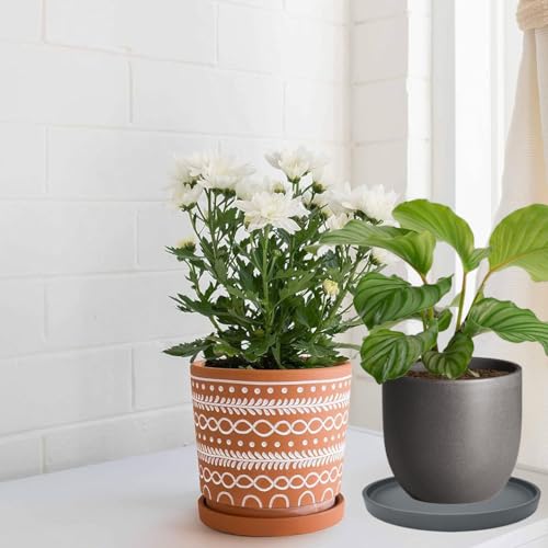 4 Pack Ceramic Plant Saucer Pot Tray 4 Inch, Planter Saucers 4 5 6 7 8 9 10 11 12 13 Inch for Indoors Outdoor, Durable Sturdy Flower Drainage drip Water Tray for Glazed Pots Base ((4.5"/4.1"-Grey) - color: Gray, size: (4.5"/4.1")-4pack