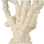 Deco 79 Polystone Coral Decorative Sculpture Home Decor Statue with Clear Acrylic Base, Accent Figurine 26" x 8" x 23", Cream - size: 26" x 8" x 23"