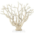 Deco 79 Polystone Coral Decorative Sculpture Home Decor Statue with Clear Acrylic Base, Accent Figurine 26" x 8" x 23", Cream - size: 26" x 8" x 23"