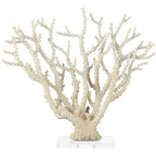 Deco 79 Polystone Coral Decorative Sculpture Home Decor Statue with Clear Acrylic Base, Accent Figurine 26" x 8" x 23", Cream - size: 26" x 8" x 23"