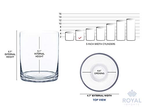 Royal Imports Flower Glass Vase Decorative Centerpiece for Home or Wedding - Cylinder Shape (5" Wide x 6" Tall, Clear) - size: 5" wide x 6" tall