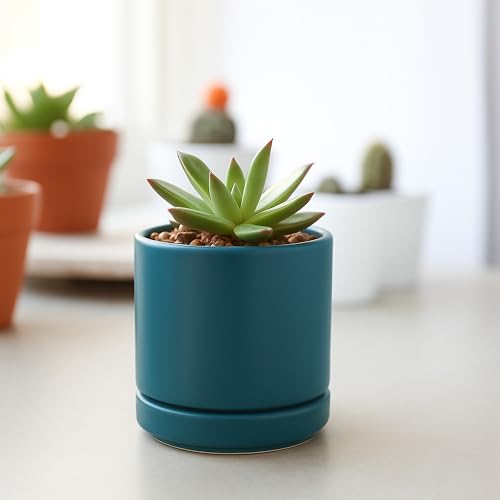 D'vine Dev Set of 4 Small Ceramic Plant Pots, 3.5 Inch Succulent Planter Pot for Plants with Drainage Hole and Saucer, Teal, 94-X-A-9 - color: Teal, size: 3.5 Inch