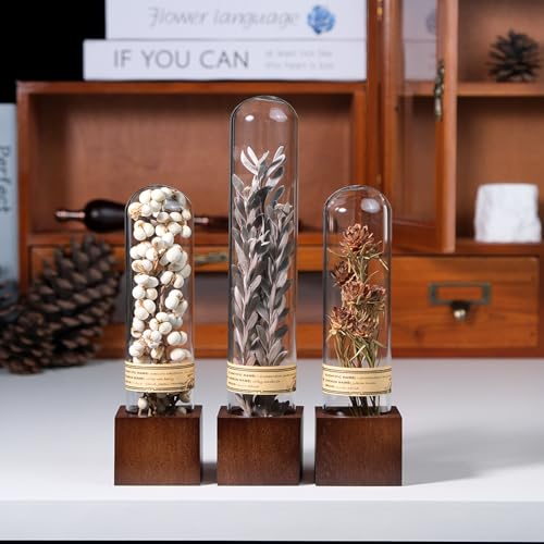 3Pcs Dried Flower Decor,Knick Knacks for Shelves,Cool Stuff for Bookshelf,Small Plants Decor for Office Shelves,Natural Green Plants Boho Shelf Decor,Apothecary Decor,Unique Gifts for Women,Friends - color: Minimalist Neutral Trio,3-piece Set