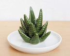 PUDDING CABIN Aloe Ring Holder,Cactus Ring Dish,Jewelry Holder Trinket Tray for Rings Earrings Necklace Organizer,Bridesmaid Christmas Birthday Gift for Women Girls - style: Aloe