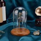 PH PandaHall Pocket Watch Glass Display Dome Cloche with Hook 5.7"x7.6" Watch Display Jar Clear Glass Dome with Wood Base Plant Watch Ornament for Watch Plants Medals Display Collectibles - size: 5.7x7.6 Inch