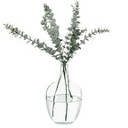 MDLUU Glass Jug Vase 10" Tall, Clear Flower Vase, Decorative Bottle Vase for Dining Room, Bedroom, Bathroom, Mantel - style: without twine rope