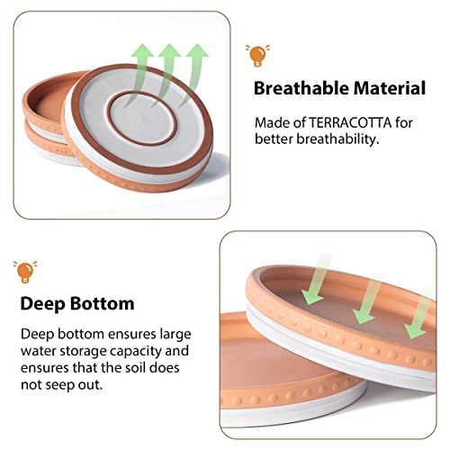 YBX 8-inch Plant Saucer Premium Terracotta Saucer Round Ceramic Plant Trays, Pack of 2 (White/Terracotta) - color: White/Terracotta