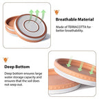 YBX 8-inch Plant Saucer Premium Terracotta Saucer Round Ceramic Plant Trays, Pack of 2 (White/Terracotta) - color: White/Terracotta