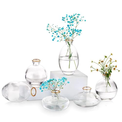 Glass Bud Vase for Centerpieces, 6Pcs/2Sets Glasseam Modern Gold Rim Mini Small Vases for Flowers Bulk Flower Vase Set Aesthetic Cute Handmade Tiny Short Wedding Table Centerpiece Decor - color: Gold Rim, size: 2 Sets