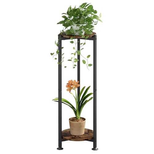 Plant Stand Indoor Corner Tall 2 Tier Metal Modern Flower Storage Plant Shelf Holder for Living Room Balcony Garden,Black (2 Tier-Black Round)