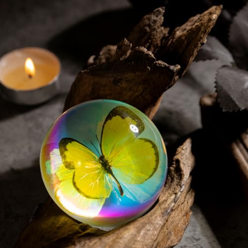 Real Butterfly Specimen in Iridescent Dome Resin - Random Seasonal Butterfly for Science Education, Biology Study, Oddities Collectors, and Nature Enthusiasts (2.5 x 1.3 Inches) - color: Butterfly Specimen (2.5" X 1.3")