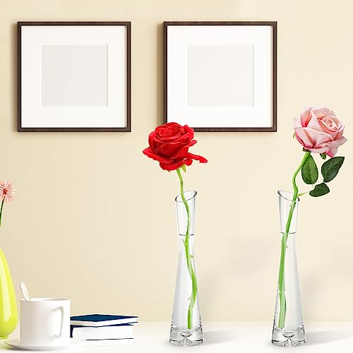 Lallisa 6 Pcs Glass Bud Vases for Centerpieces Maria Modern Clear Small Skinny Decorative Single Flower Bud Vase for Wedding Party Event Home Office Decoration(9.84 Inch,Transparent Color) - color: Transparent Color, size: 9.84 Inch