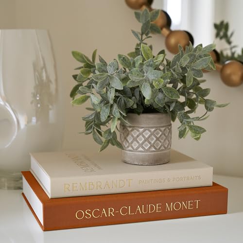 Beautiful Decorative Books - Set of 2 Linen Boxes Enhance Your Coffee Table, Bookshelf or Mantel Decor - Aesthetic Fake/Faux Books for Modern Home Decoration, Photo Storage and as a Keepsake Box - color: Camel-Beige