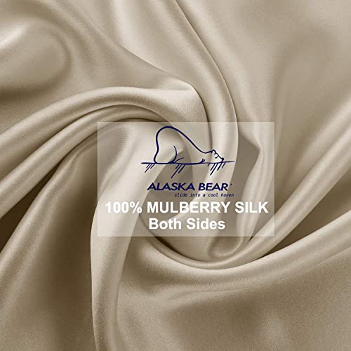 ALASKA BEAR Natural Silk Pillowcase, Hypoallergenic, 19 Momme, 600 Thread Count 100 Percent Mulberry Silk, Standard Size with Hidden Zipper (1,Champagne Gold) - color: Champagnegold, size: Standard 20''x26''