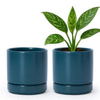 D'vine Dev Set of 2 Plants Pots, 4.7 Inch Ceramic Planter Pot for Plants with Drainage Hole and Saucer, Teal, 94-V-B-9 - color: Teal, size: 4.7 Inch
