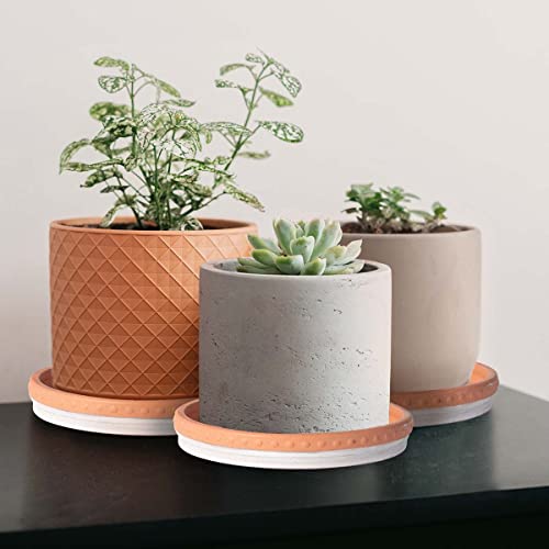 YBX 8-inch Plant Saucer Premium Terracotta Saucer Round Ceramic Plant Trays, Pack of 2 (White/Terracotta) - color: White/Terracotta