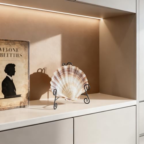 Plate Stand, 6 Inch Metal Plate Stands for Display 1 Pack, Black Iron Easel Stand Decorative Plate Holder for Picture Frame Photo Collectibles Book - size: 6 Inch - 1Pack