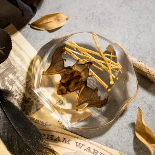 Real Hanging Bat Specimen in Resin - Authentic Taxidermy Displaying Natural Behavior, Perfect for Science Education, Oddities Collectors, and Unique Art Decor - color: Inverted Bat Specimen