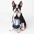 Bits and Pieces - Boston Terrier Solar Lantern Statue - Yard Decorations - Solar Powered Garden Lantern - Resin Dog Sculpture - Outdoor LED Lighting - style: BosTerrier Lantern