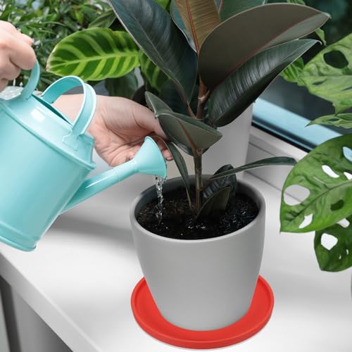 PATIKIL 6 Inch Round Ceramic Plant Saucer, Plant Saucer Tray Flower Planter Drip Tray for Indoors Outdoors Patio Balcony, Terracotta - color: Terracotta