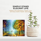 TR-LIFE 4 Pack 6 Inch Plate Display Stands -Picture Holder Stand for Decorative Plate, Book, Photo Frame Easel (Black) - size: 6 Inch