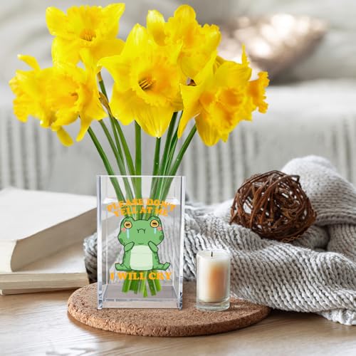 Please Don't Yell at Me I Will Cry Acrylic Cosmetic Pencil Pen Holder Cup, Funny Frog Desk Organizer Accessory for Home Office Decor, Frog Lover Gifts, Sarcastic Work Gifts for Coworker Teacher - style: Yell at Me