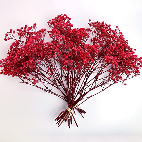 Preserved Baby's Breath 3 Bunches, 100% Natrual Fresh Gypsophila Long Lasting Flowers for Vase Arrangements Home Decoration Photo Props Parties and Weddings, DIY Décor-Red - color: Red