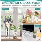 Zopeal 24 Pcs Cylinder Glass Vases Bulk 6" 8" 10" Clear Glass Cylinder Vases for Flowers, Floating Candles, Wedding Table Centerpieces, Party Home Decor(6, 8, 10 Inch)