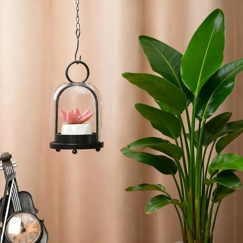 7.5" High Versatile Modern Metal Hurricane Lantern with Handmade Sturdy Glass Dome in Black for 2" Pillar Candle & Plants, for Living Room, Porch, Mantel Decoration (Black, 4" x7.5 for 2" Pillar) - color: Black, size: 4"x7.5"