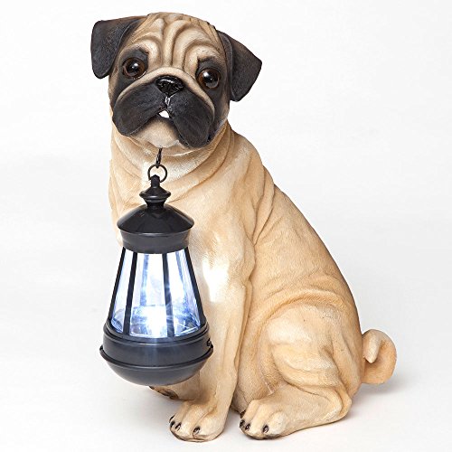 Bits and Pieces - Fawn Pug Solar Lantern Statue - Solar Powered Garden Lantern - Resin Dog Sculpture with LED Light - Outdoor Lighting and Décor - style: Fawn Pug Lantern