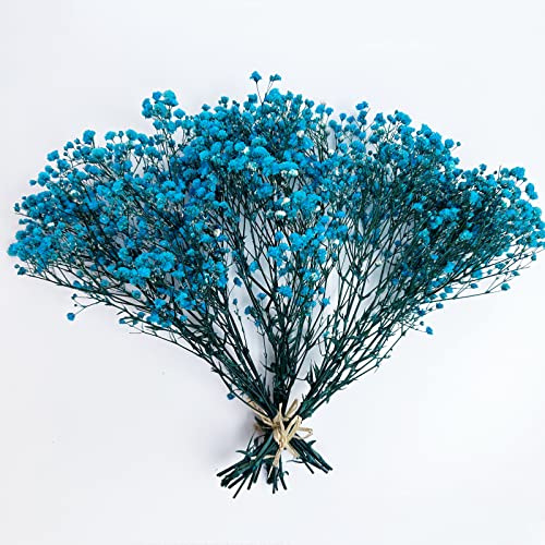 Preserved Baby's Breath 3 Bunches, 100% Natrual Fresh Gypsophila Long Lasting Flowers for Vase Arrangements Home Decoration Photo Props Parties and Weddings, DIY Décor-Light Blue - color: Light Blue
