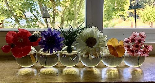 Clear Glass Bud Vase Cute Flower Vase for Short Plant Mother's Day Wedding Centerpiece Home Decoration Floral Arrangements Holder (3.15")