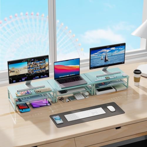 gianotter 2-Tier Metal Monitor Stand Riser, Desk Organizer for Monitor, Office Desk Storage Organizer for Office Supplies (Blue) - color: Blue