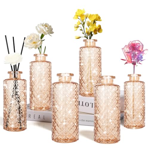Glass Bud Vase, Flower Bottle, Small Vase, 6 Sets, Simple, Solid, for Mum or Lady, Classy Gift for Mother's Day, Anniversary, Wedding, Amber - color: Amber