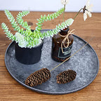 Funerom Round Galvanized Metal Tray Decorative Tray Corrugated Edges (12.6 inch) - size: 12.6"