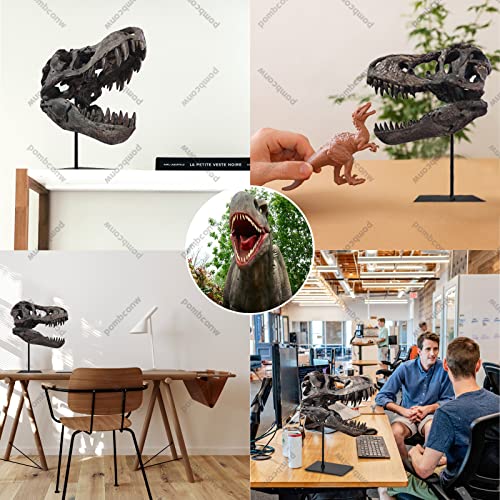 T Rex Skull, Dinosaur Statue Resin Dinosaur Skull Fossil Replica Skeleton Sculptures,Decorative Ornaments for Office Desktop Cabinets Home Kids Adults - color: Large