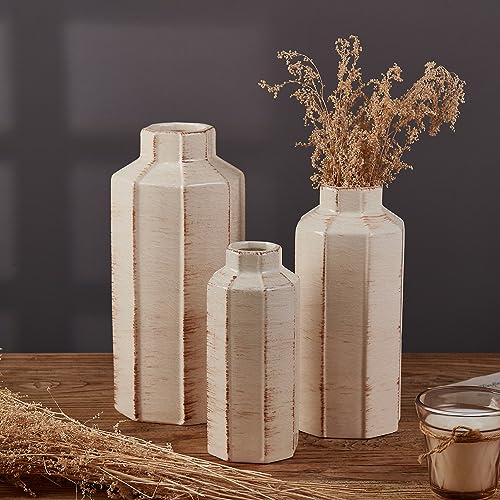 LUKA Ceramic Rustic Farmhouse Vase Set of 3,Ice Cracked Glazed Terracotta Vase,Large Vases for Decor,Fall Decoratiion Vases for Home, Table, Living Room, Shelf - color: 18096lms-ec-beige