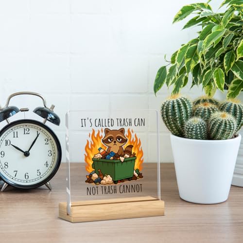 Dumpster Fire Desk Accessories Funny Office Decor Funny Office Gifts Motivational Desk Decor Acrylic Raccoon Humor Gifts for Women Men Friend Coworker - color: It's Called Trash Can Not Trash Cannot