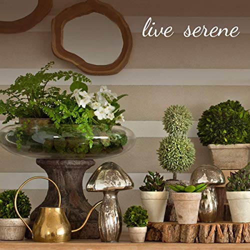 Serene Spaces Living Set of 2 Medium Free-Form Edge Glazed Ceramic Plate- Dinnerware for Vintage Weddings, Events, Measures 9" Long, 8" Wide and 1" Tall - color: White, Set of 2 - 9"